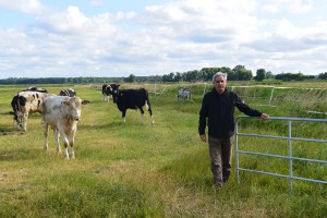 "Wir haben die Tiere an den Aufenthalt auf der Weide vorbereitet; die Renaturierungsfläche haben wir mit Gattern in drei Sektionen eingeteilt", sagt Dr. Manfred Möller, Geschäftsführer der APV.